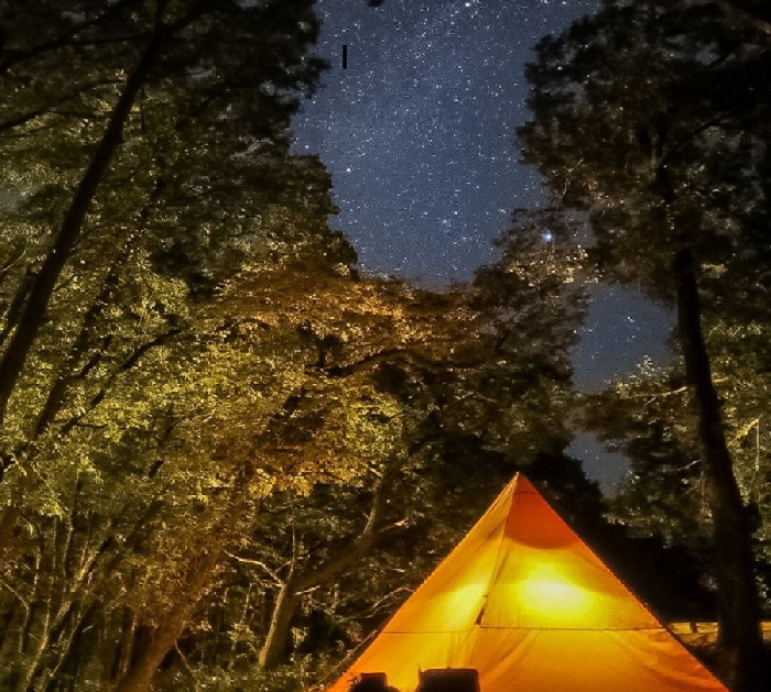 FORESTPIA CAMP I RIE